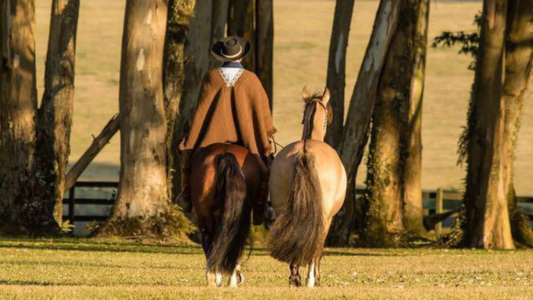 Aldo Vendramin explica a relação entre custos de manutenção e rentabilidade na criação de equinos.